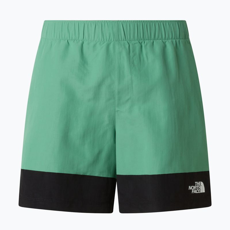 Pánské trekové šortky The North Face Leynar dimmed algae/tnf black 9