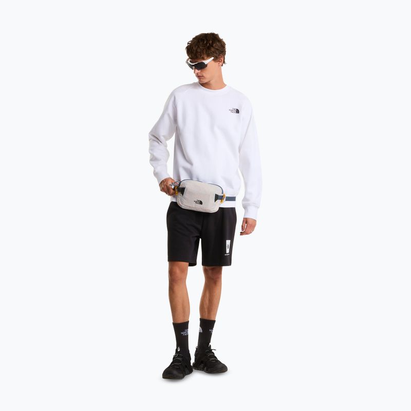 Pánské trekové šortky The North Face Box Nse Light Regular Shorts black 2