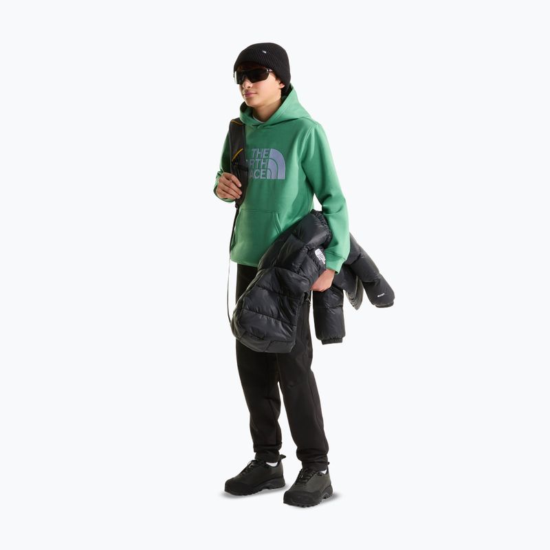 Dětská mikina The Noryh Face Essential Drew Peak Hoodie dimmed algae 4