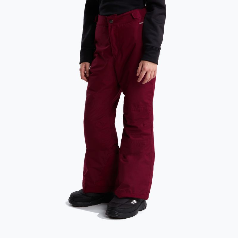 Dětské lyžařské kalhoty The North Face Freedom Insulated burgundy crush