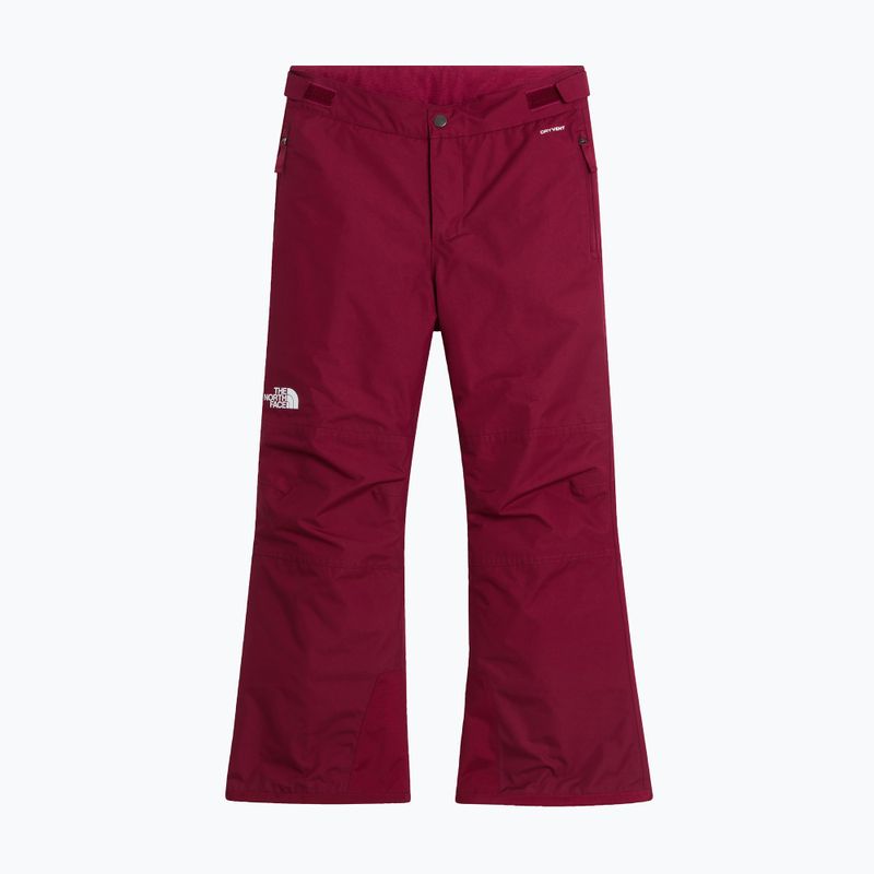 Dětské lyžařské kalhoty The North Face Freedom Insulated burgundy crush 4