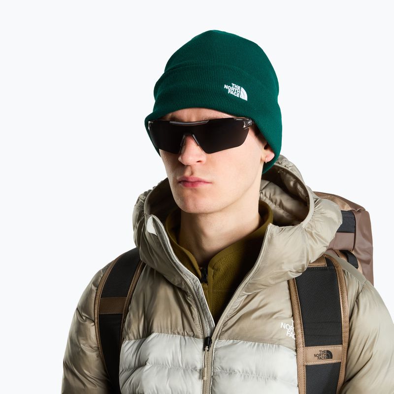 Zimní čepice The North Face Norm Beanie hunter green 3
