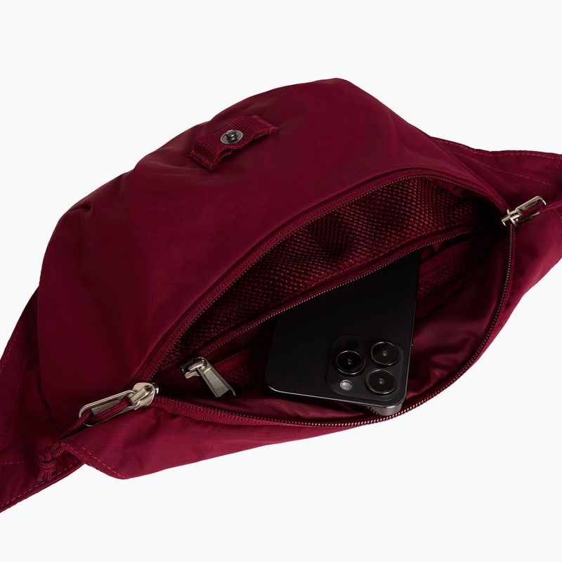 Ledvinka The North Face Glen Canyon Lumbar burgundy crush 4