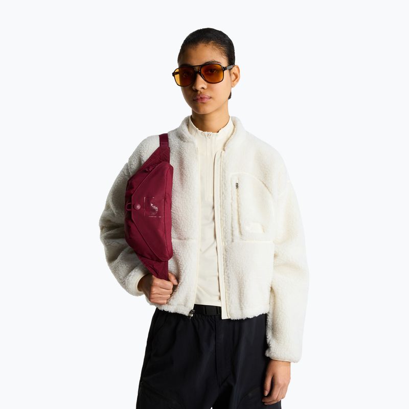 Ledvinka The North Face Glen Canyon Lumbar burgundy crush 5