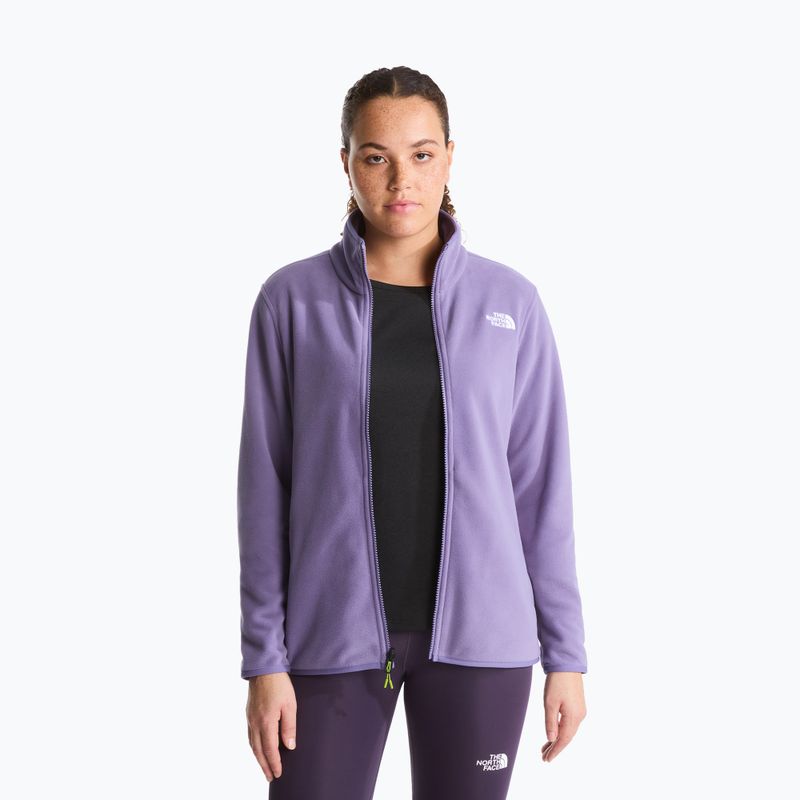 Pánská fleecová mikina The North Face Glacier Fleece grounded plum 4