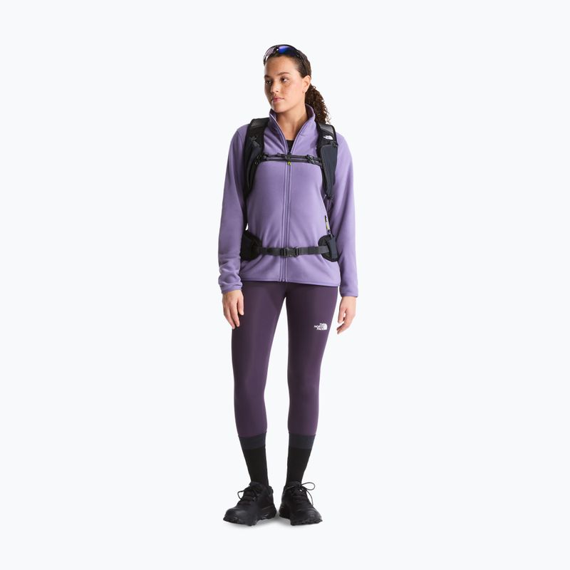 Pánská fleecová mikina The North Face Glacier Fleece grounded plum 2
