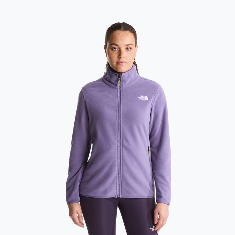Pánská fleecová mikina The North Face Glacier Fleece grounded plum