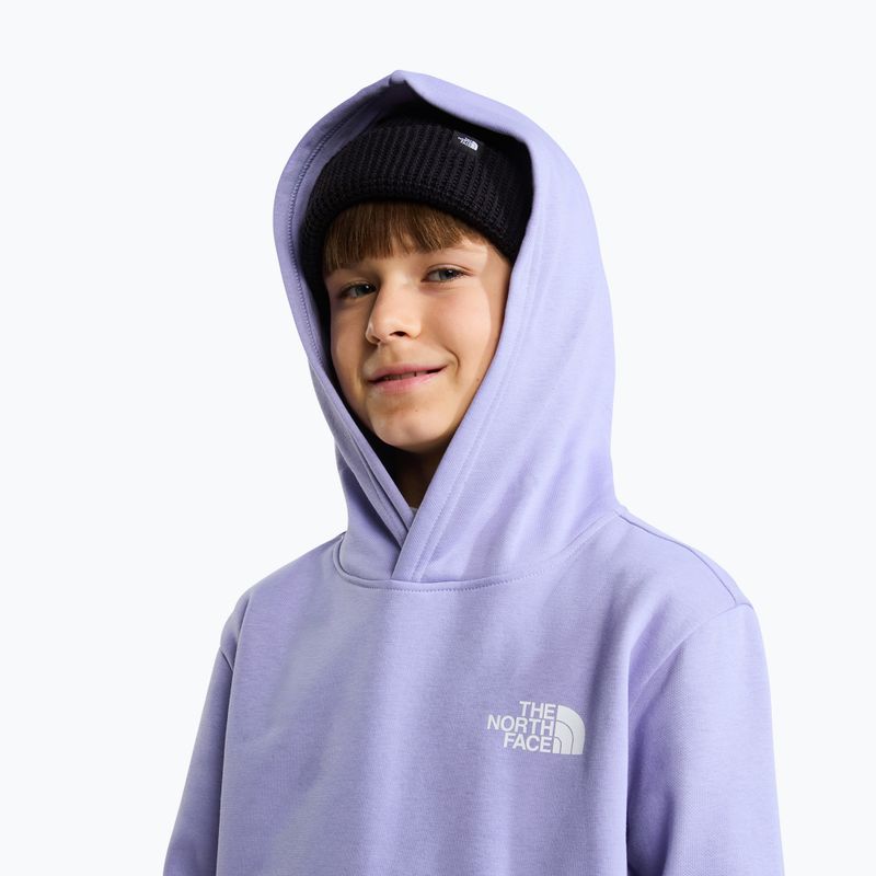 Dětská mikina The North Face Evolution Box NSE Pullover Hoodies pale plum 6