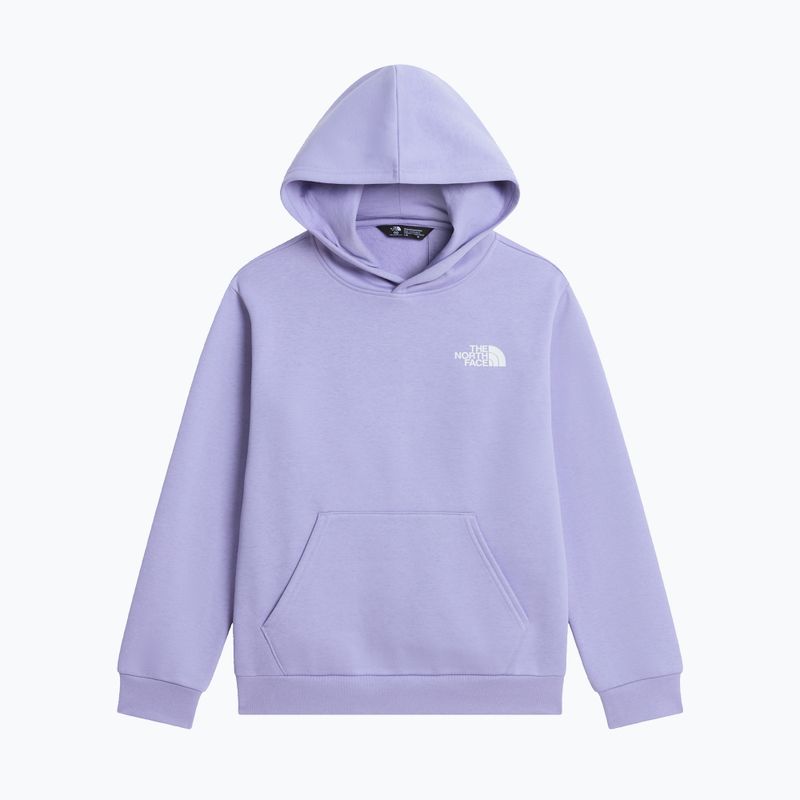 Dětská mikina The North Face Evolution Box NSE Pullover Hoodies pale plum 7