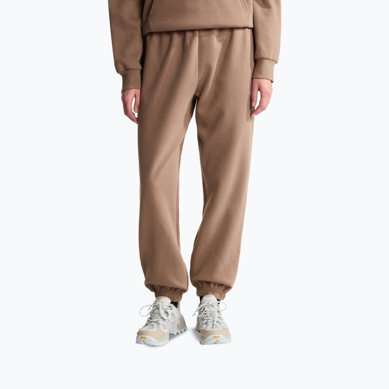 Dámské kalhoty The North Face Evolution Simple Dome Regular garnet