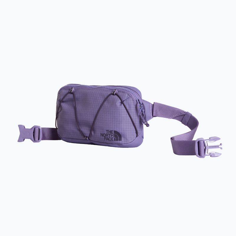 Ledvinka The North Face Terra Lumbar 1 l grounded plum/endless 2