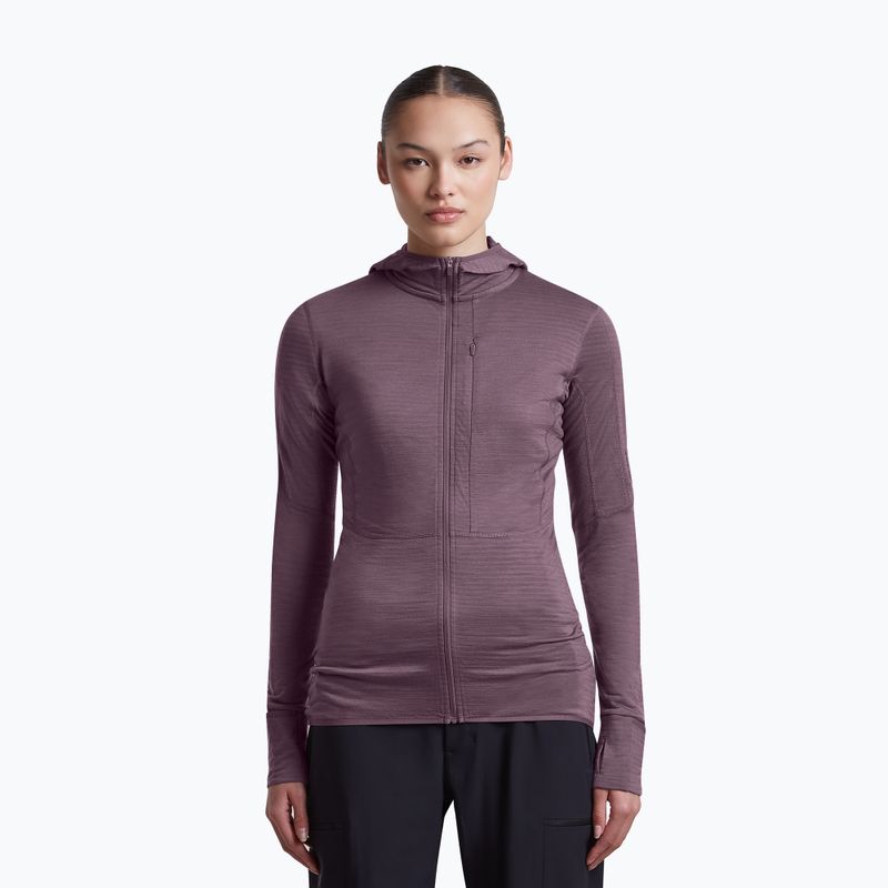 Dámská trekingová mikina Icebreaker Merino 200 Realfleece Descender Half Zip Hoodie grey plum