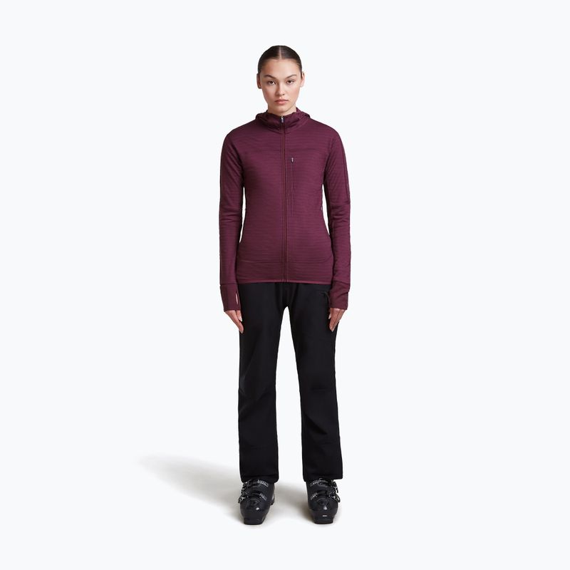 Dámská trekingová mikina Icebreaker Merino 300 Realfleece Descender Zip Hoodie dark berry 2