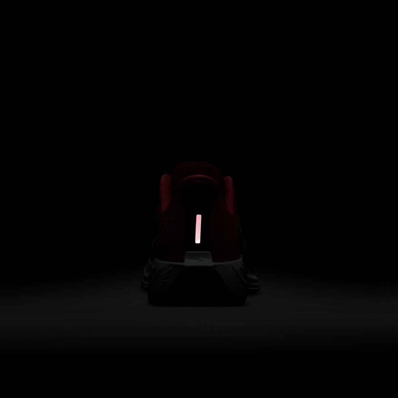 Dámské běžecké boty Nike Pegasus Plus bright crimson / deep royal blue / silt red 9