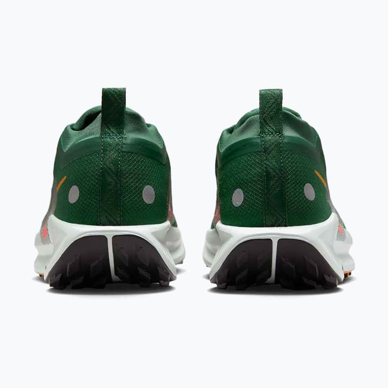 Pánské běžecké boty Nike Pegasus Trail 5 GORE-TEX fir/bright crimson/clay green 6