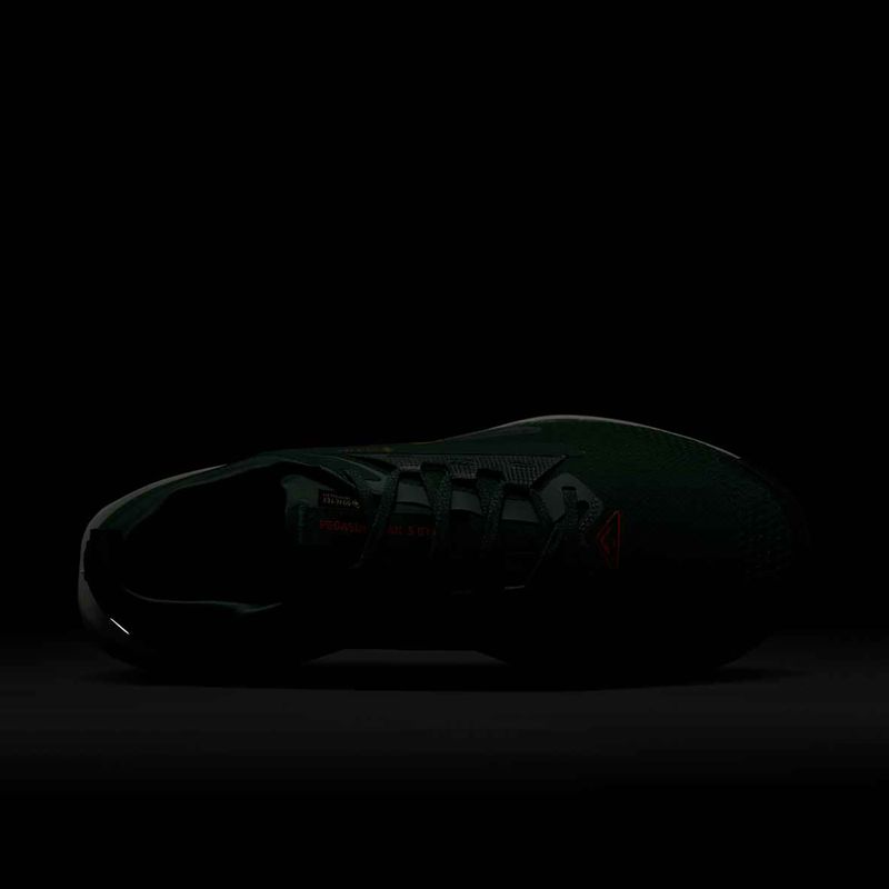 Pánské běžecké boty Nike Pegasus Trail 5 GORE-TEX fir/bright crimson/clay green 10