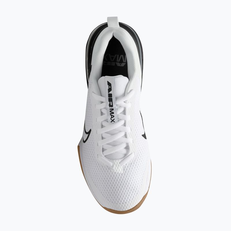 Pánské tréninkové boty Nike Air Max Alpha Trainer 6 white/black/gum medium brown/white 13