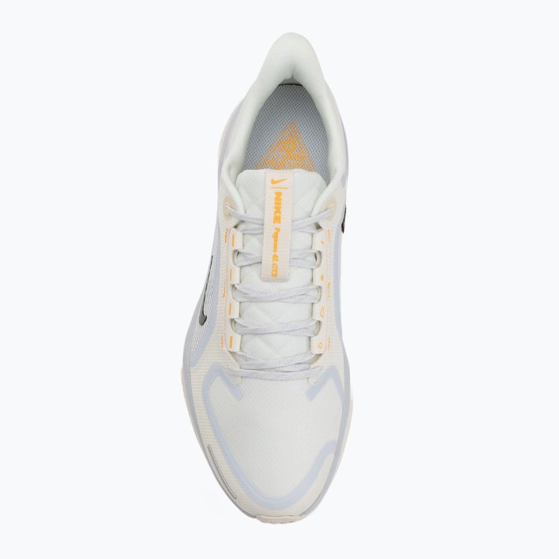 Pánské běžecké boty Nike Pegasus 41 GTX sail/football grey/sundial/ashen slate 5
