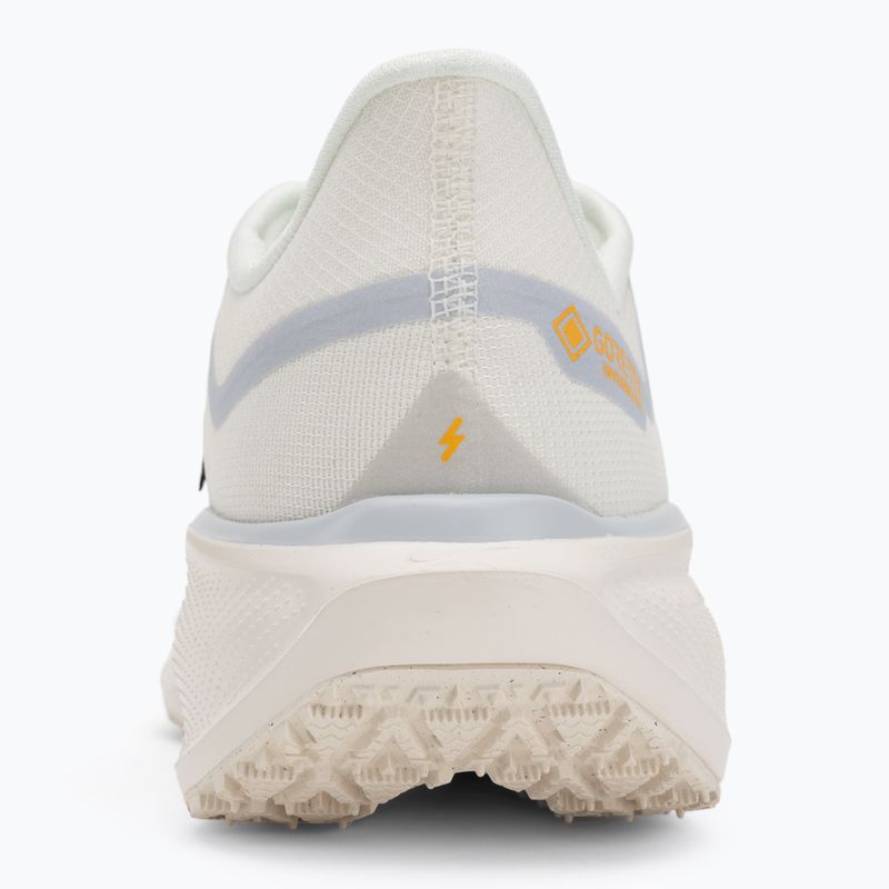 Pánské běžecké boty Nike Pegasus 41 GTX sail/football grey/sundial/ashen slate 6