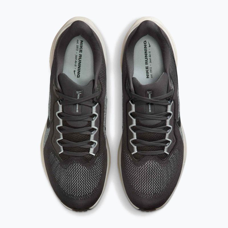 Pánské běžecké boty Nike Pegasus 41 Medium Ash/Pure Platinum/Black 5