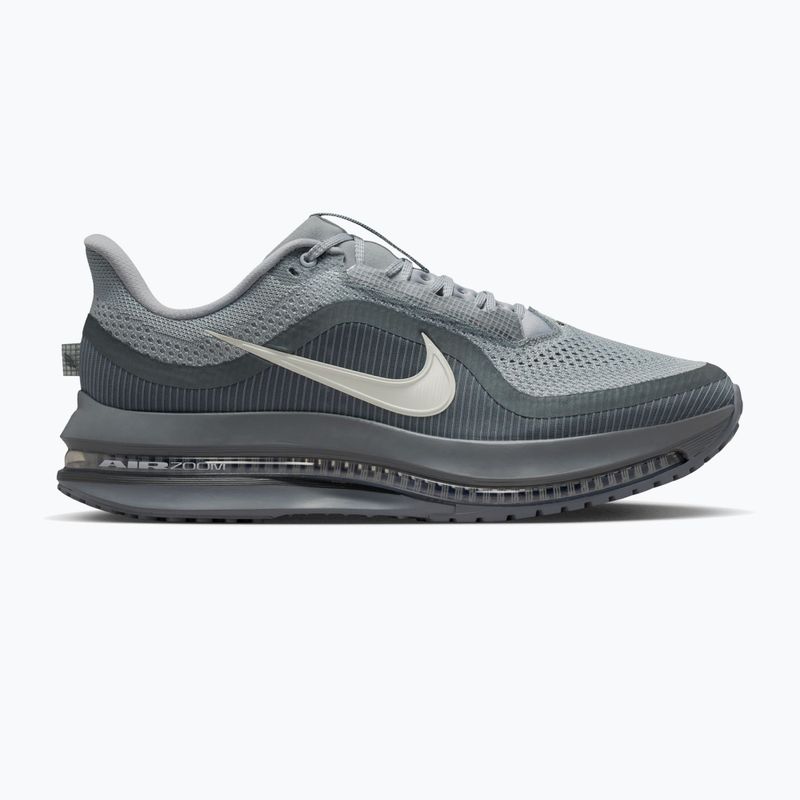 Pánské běžecké boty Nike Pegasus Premium wolf grey/cool grey/anthracite/sail
