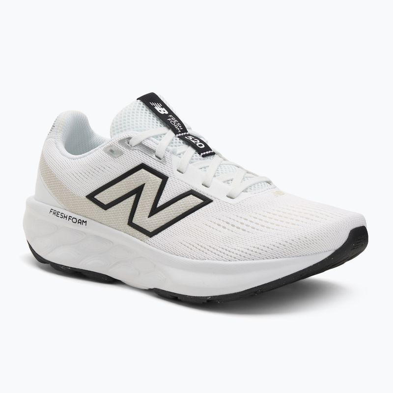 Dámské běžecké boty New Balance Fresh Foam 520's V9 winter grass