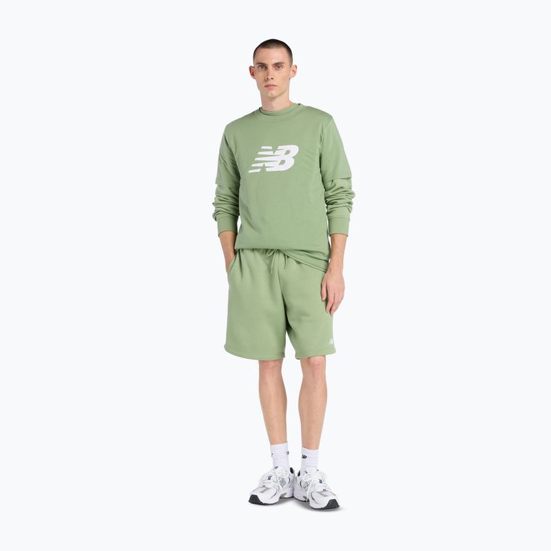 Pánské tričko New Balance Graphic V Flying oregano 2