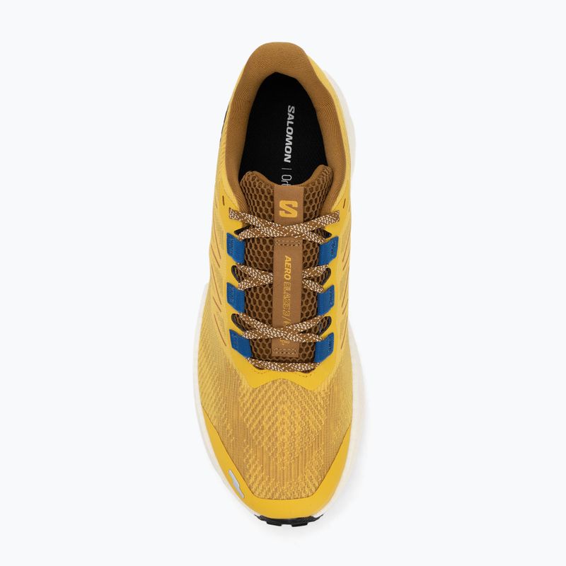 Pánské běžecké boty Salomon Aero Blaze 3 GRVL spicy mustard/vanilla ice/nautical blue 5