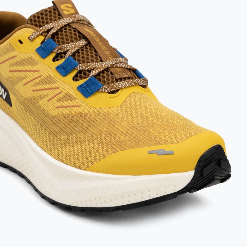 Pánské běžecké boty Salomon Aero Blaze 3 GRVL spicy mustard/vanilla ice/nautical blue 7