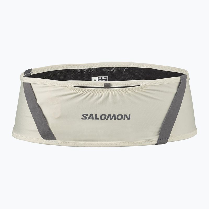 Běžecký pás Salomon Pulse icicle / castlerock
