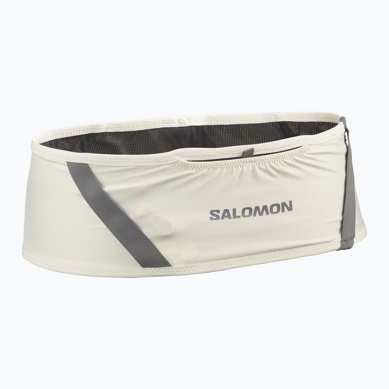 Běžecký pás Salomon Pulse icicle / castlerock 2