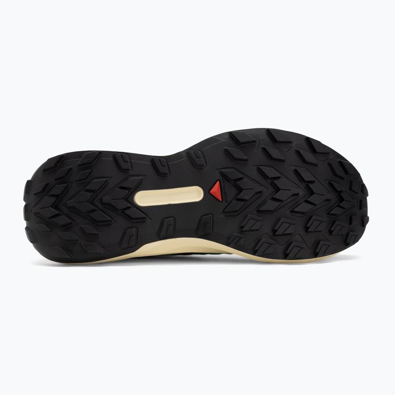 Pánské běžecké boty Salomon Genesis transparent yellow/black/willowherb 4