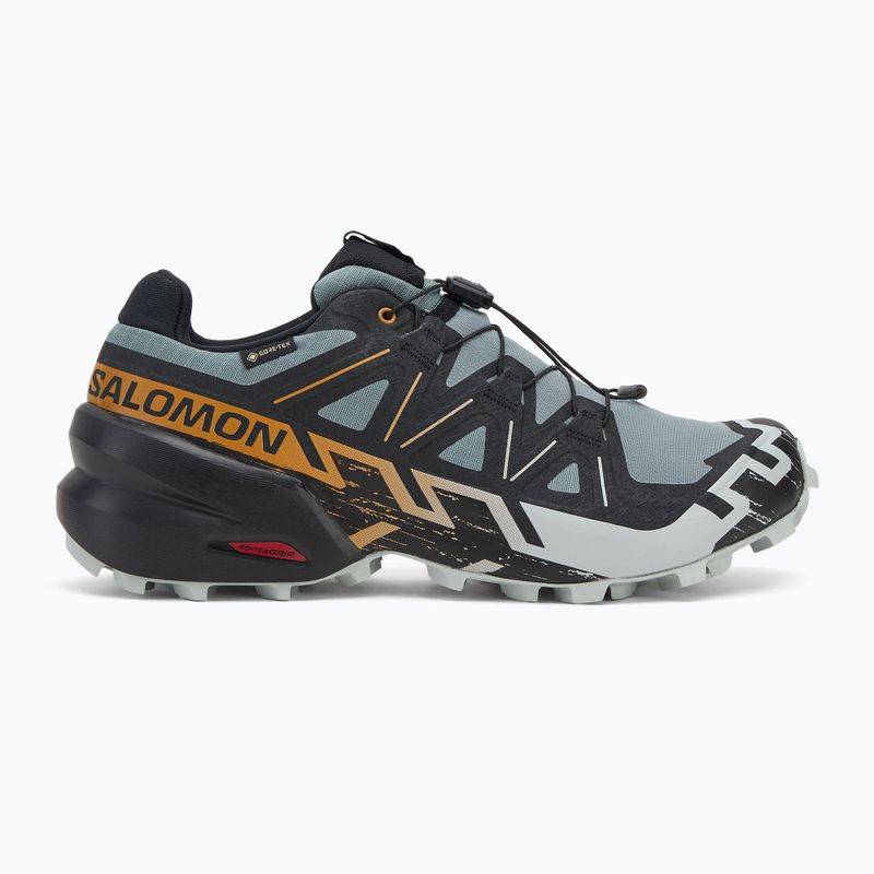 Pánské běžecké boty Salomon Speedcross 6 GTX trooper/black/wood thrush 2