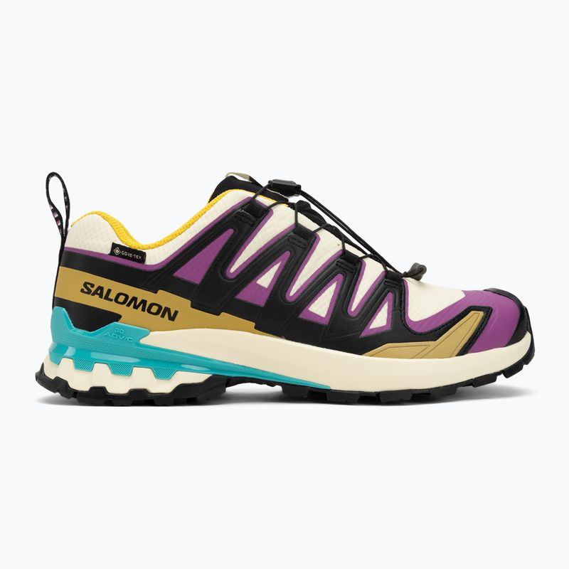 Pánské běžecké boty Salomon XA PRO 3D V9 GTX transparent yellow/black/waterfall 2
