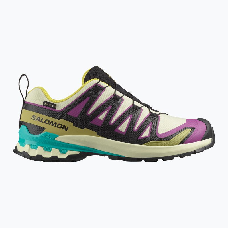 Pánské běžecké boty Salomon XA PRO 3D V9 GTX transparent yellow/black/waterfall 8