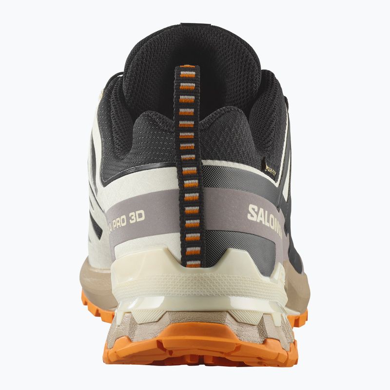 Pánské běžecké boty Salomon XA PRO 3D V9 GTX black/vanilla ice/turmeric 10
