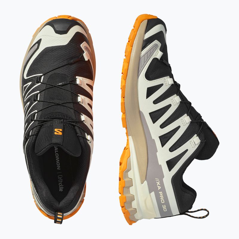 Pánské běžecké boty Salomon XA PRO 3D V9 GTX black/vanilla ice/turmeric 12