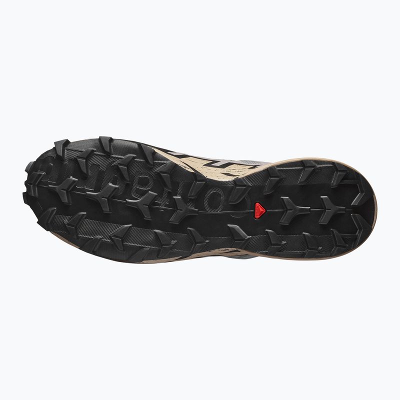 Pánské běžecké boty Salomon Speedcross 6 GTX gull/white pepper/black 5