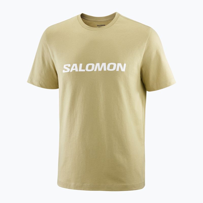 Pánské tričko Salomon Logo grey green 3