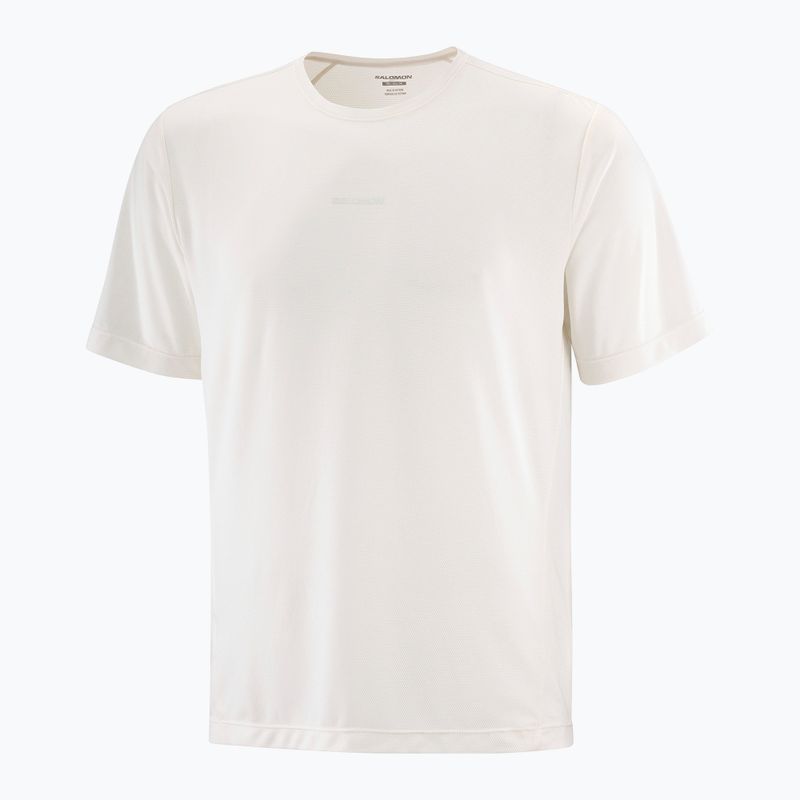 Pánské tričko Salomon Shakeout Core whisper white 3