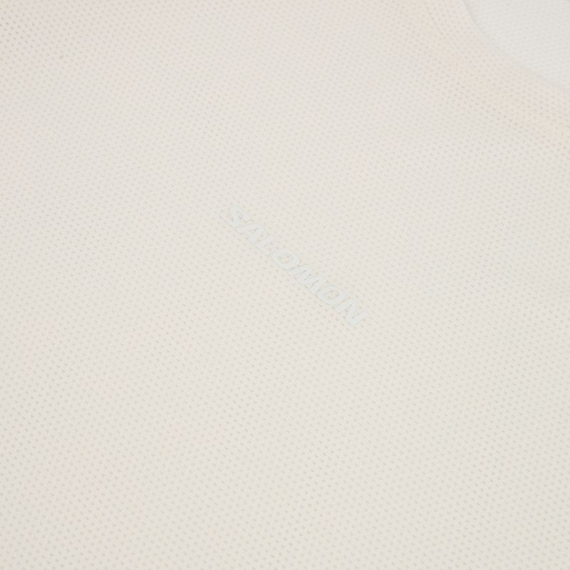 Pánské běžecké triko s dlouhým rukávem Salomon Shakeout Core whisper white 3