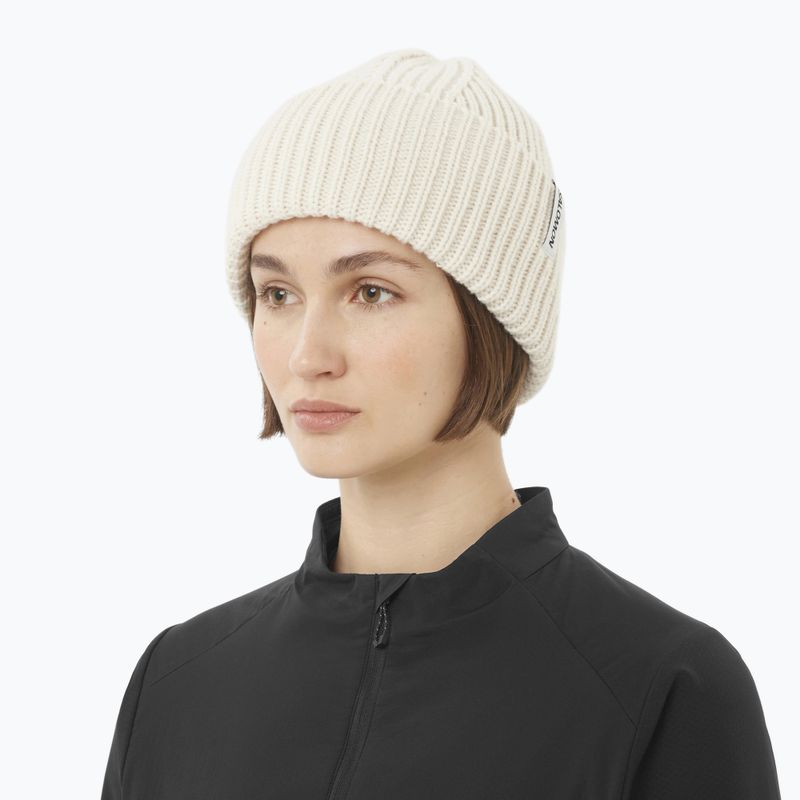 Zimní čepice Salomon Snowbird whisper white 2