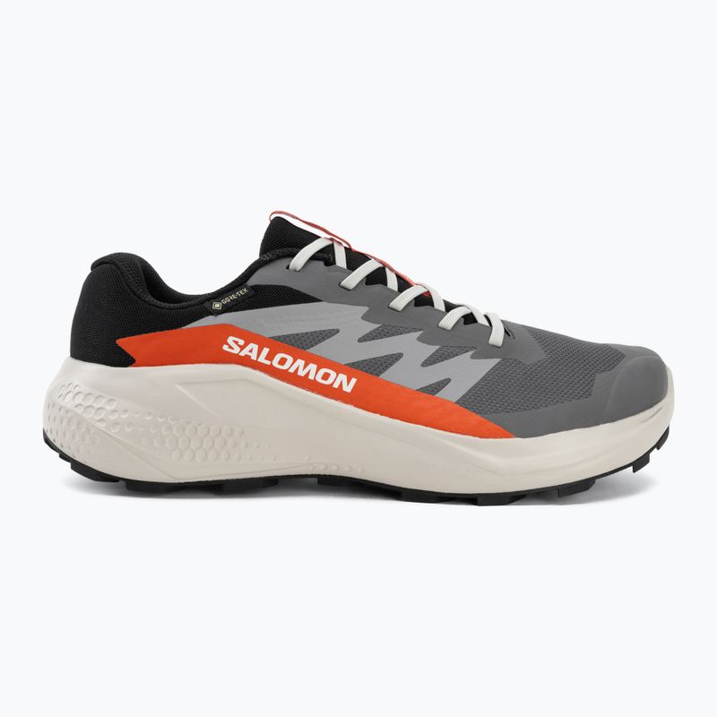 Pánské běžecké boty Salomon Alphaglide GTX castlerock/lunar rock 2