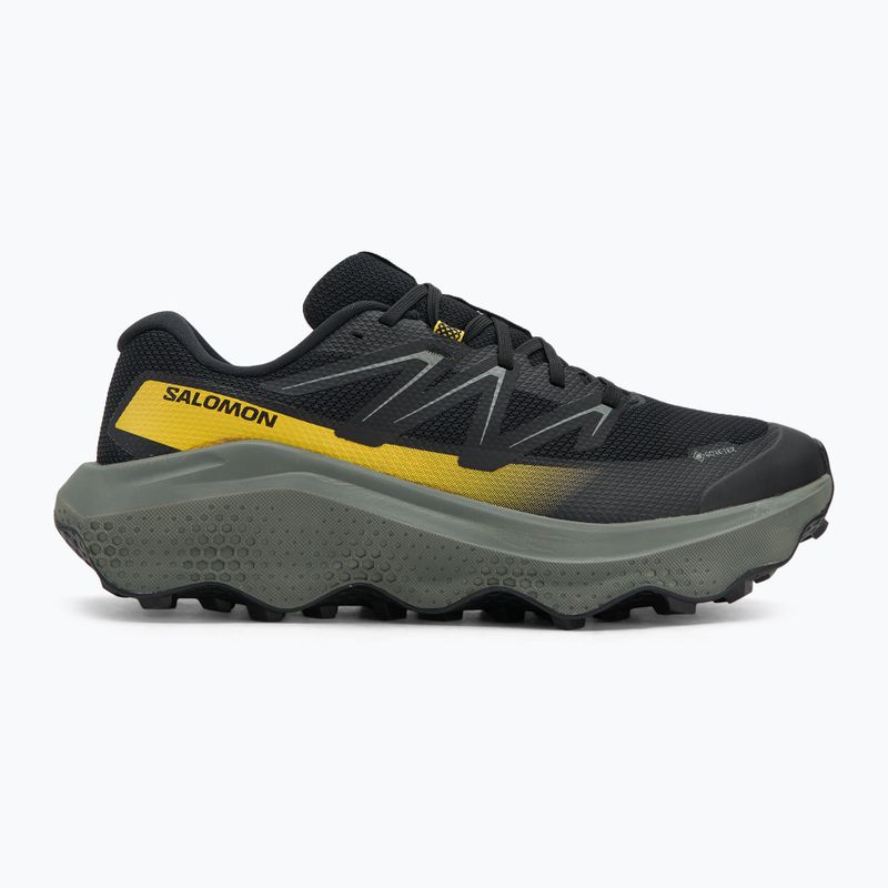 Pánské běžecké boty Salomon Ultra Flow 2 GTX black/sedona sage/incaberry 2