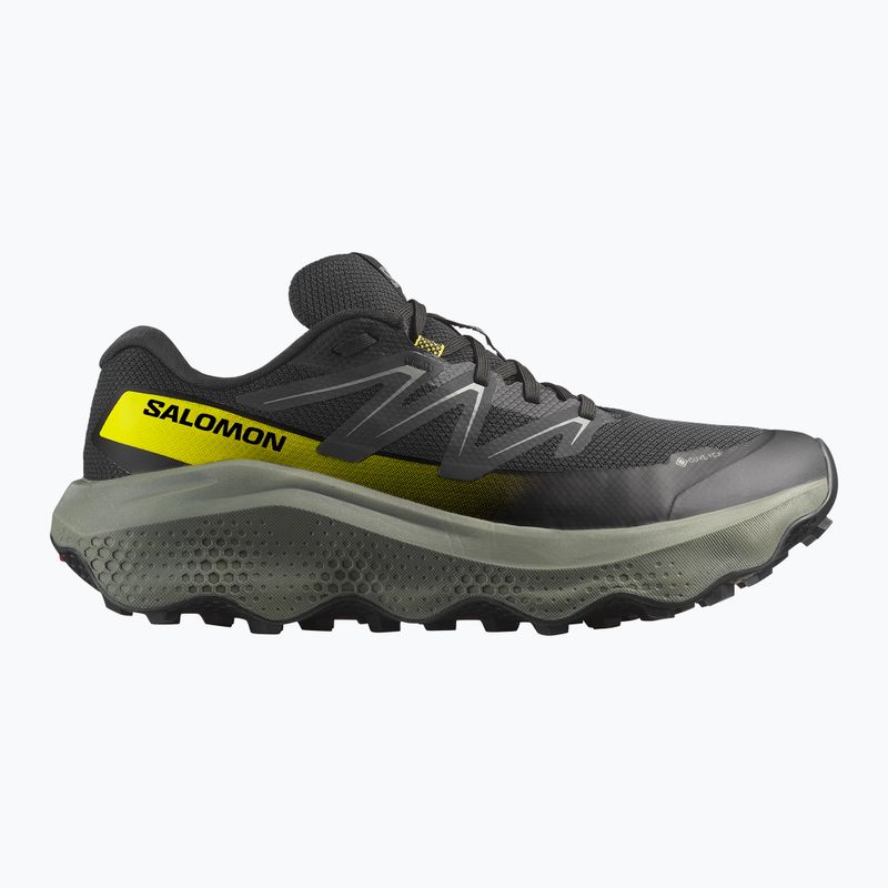 Pánské běžecké boty Salomon Ultra Flow 2 GTX black/sedona sage/incaberry 8