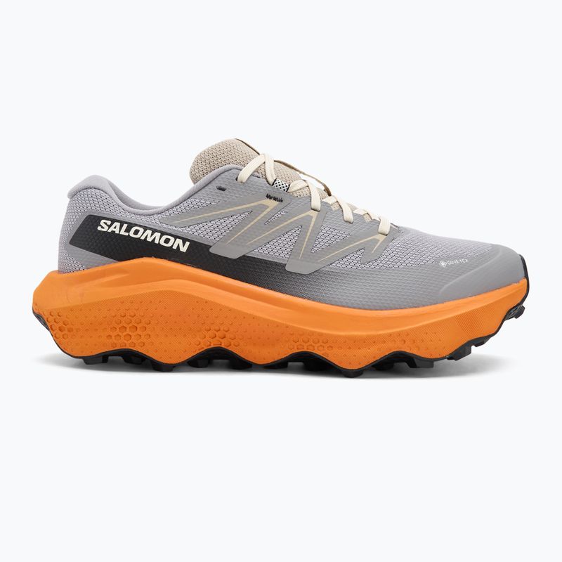 Pánské běžecké boty Salomon Ultra Flow 2 GTX gull/turmeric/white pepper 2