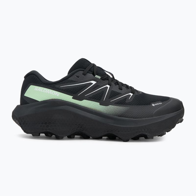 Pánské běžecké boty Salomon Ultra Flow 2 GTX black/black/patina green 2