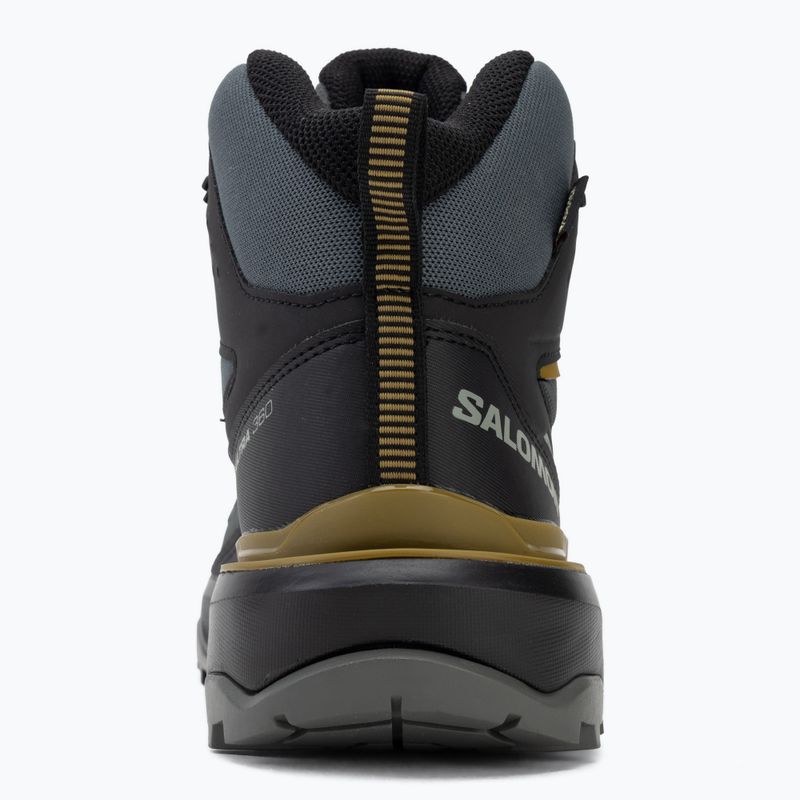 Pánské trekové boty Salomon X Ultra 360 MID GTX urban chic/black 6