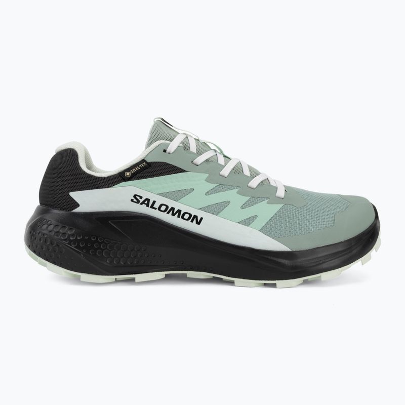 Dámské běžecké boty Salomon Alphaglide GTX green milieu/asphalt 2