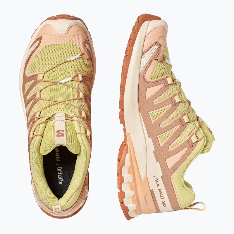 Dámské běžecké boty Salomon XA Pro 3D V9 endive/burro/almond cream 4